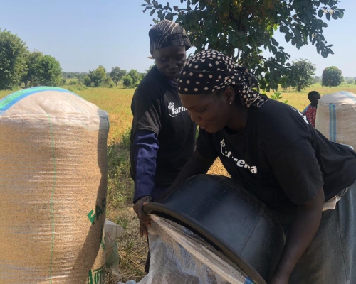 A generic square placeholder image with rounded corners in a figure.